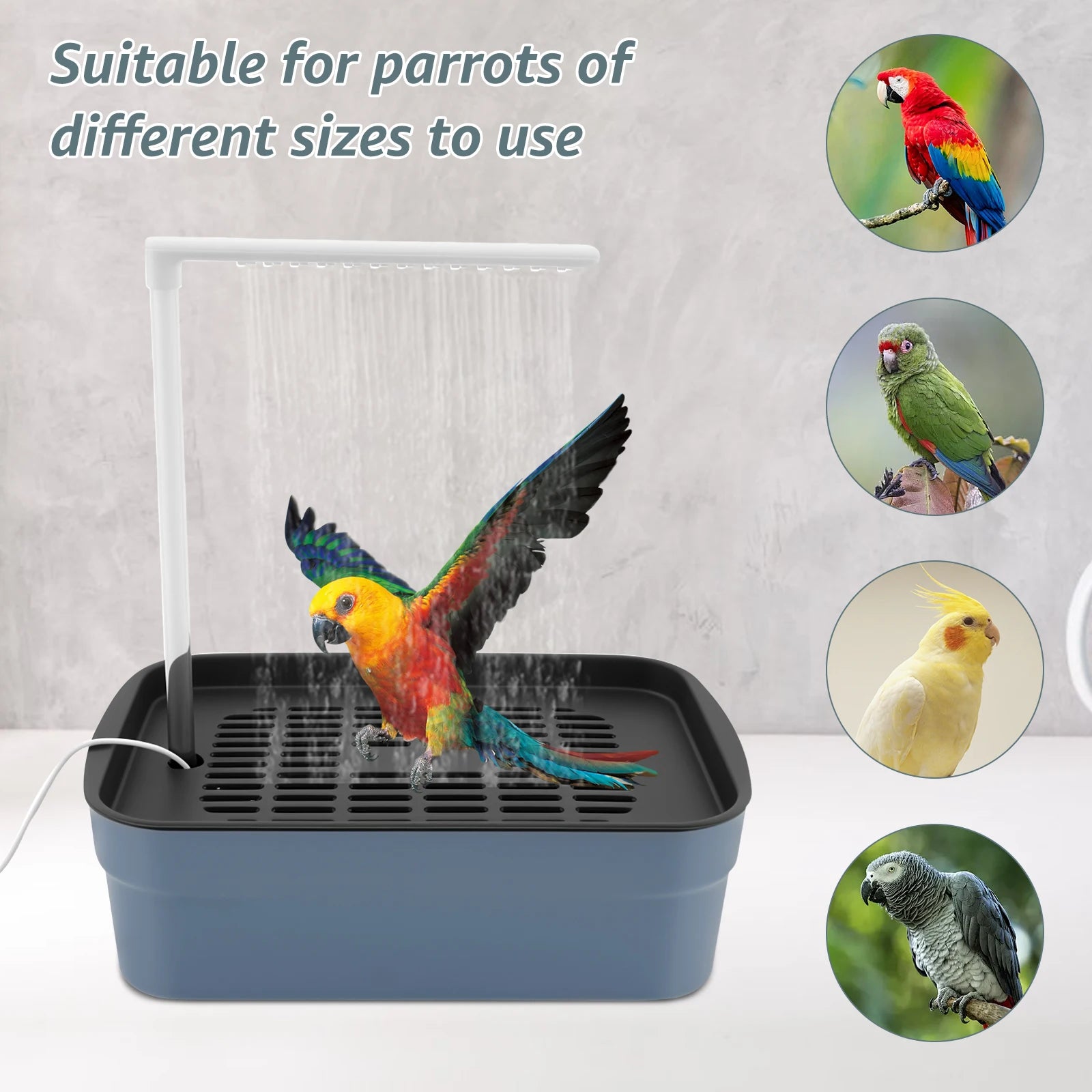 Bañera automática para pájaros y loros, con circulación de agua, USB, eléctrica, para periquitos, ducha, fuente, suministros para pájaros.